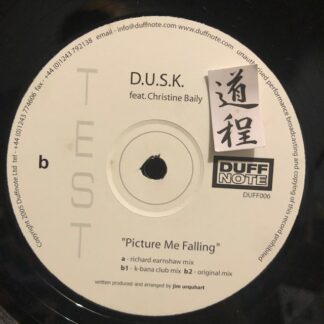 D.U.S.K. Feat. Christine Baily – Picture Me Falling (DUFF006)