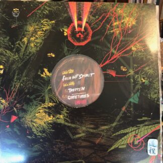 Akiko Kiyama – Flesh Got Spirit (LMD007)